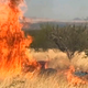 Image for article titled Family Built Gender Reveal Explosion So Intense That Neighbors Mistook It For an Earthquake